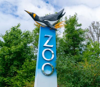 Edinburgh Zoo – Royal Zoological Society of Scotland